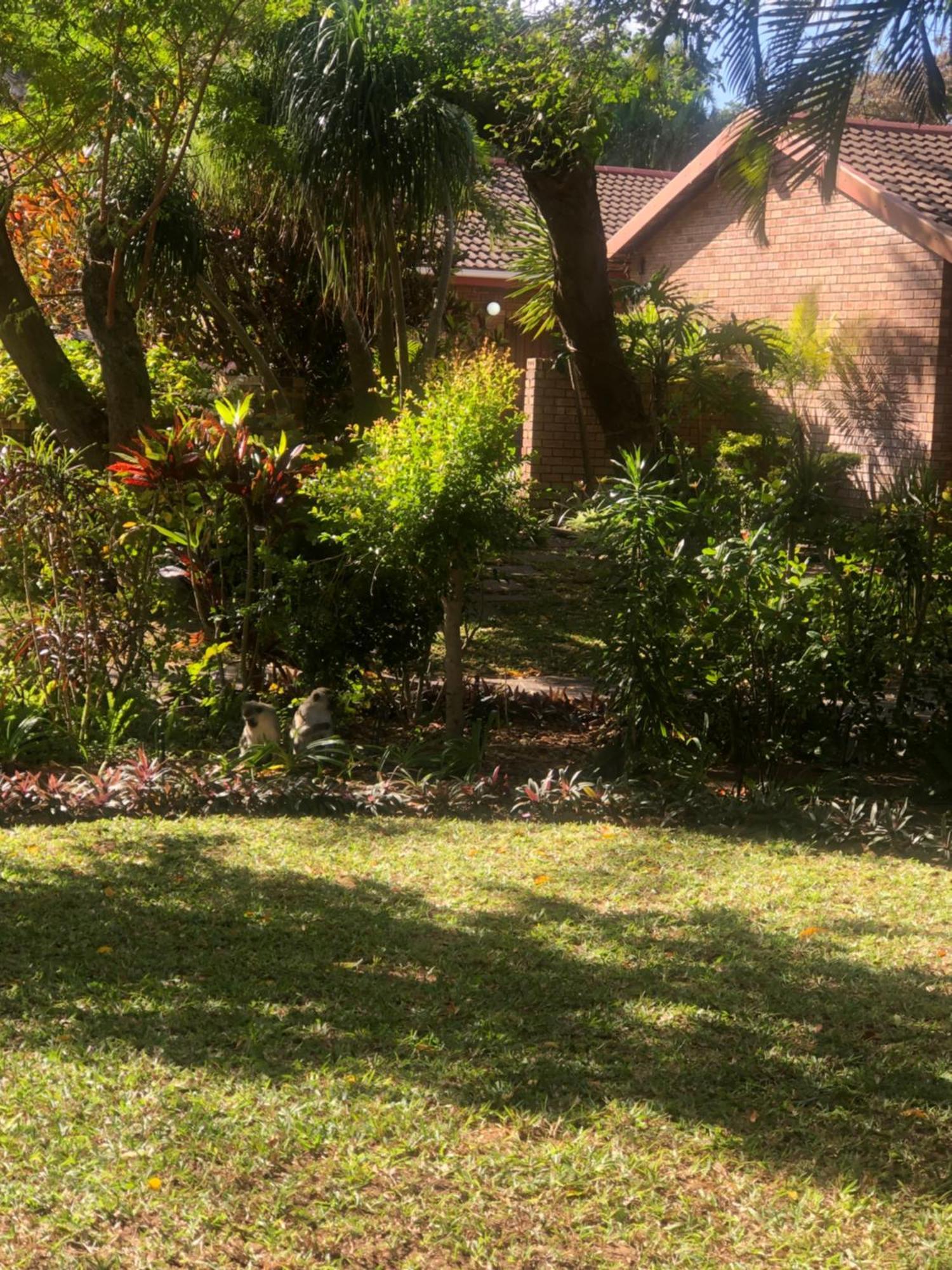 El Seuno De Africa -The Dream Of Africa Villa Saint Lucia Estuary Exterior foto