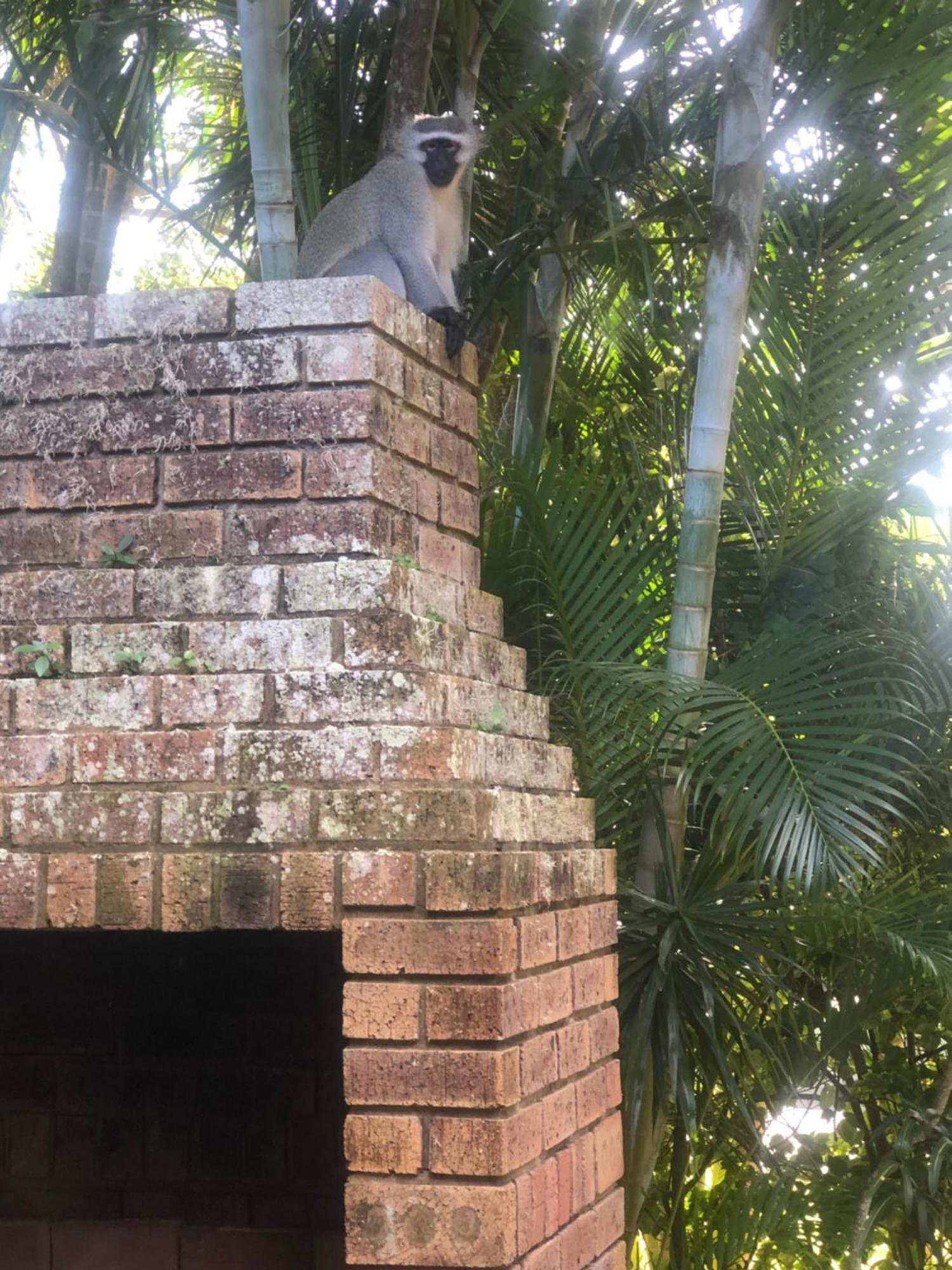 El Seuno De Africa -The Dream Of Africa Villa Saint Lucia Estuary Exterior foto