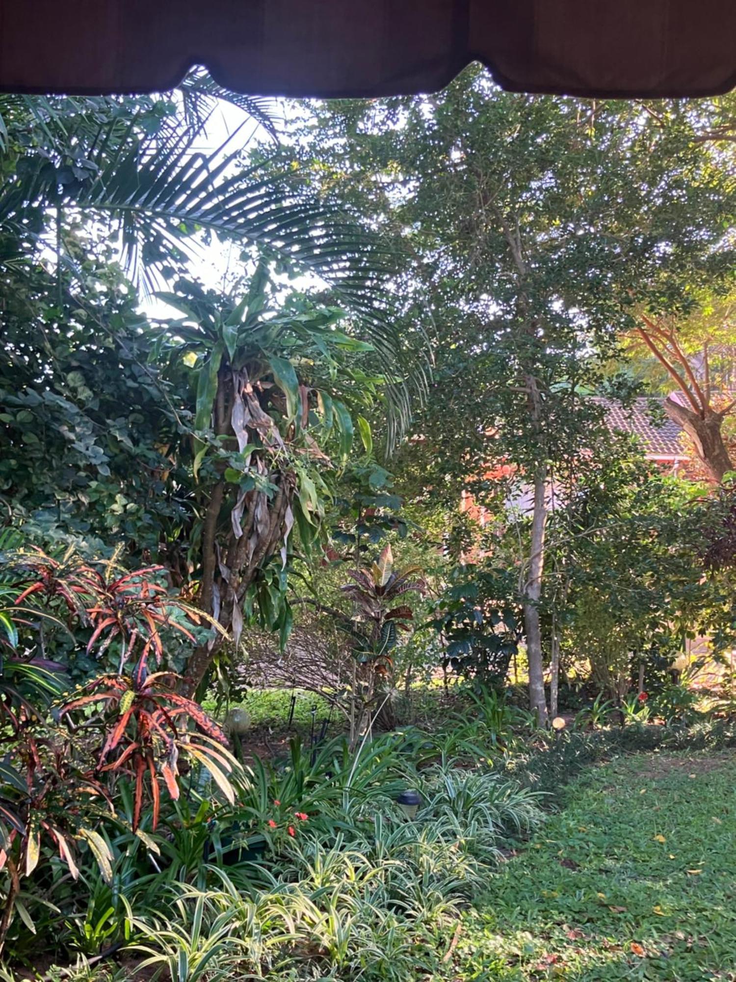 El Seuno De Africa -The Dream Of Africa Villa Saint Lucia Estuary Exterior foto